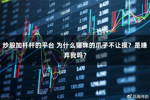 炒股加杆杆的平台 为什么猫咪的爪子不让摸？是嫌弃我吗？