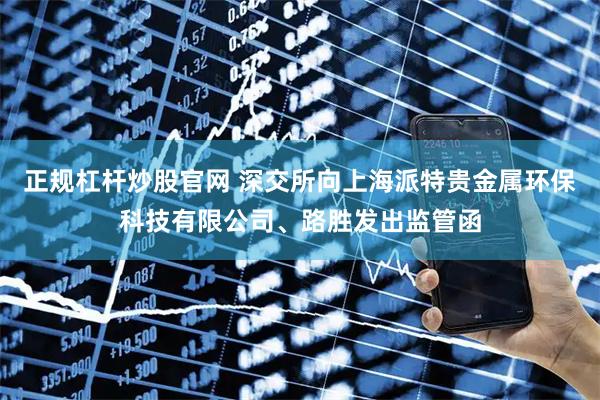 正规杠杆炒股官网 深交所向上海派特贵金属环保科技有限公司、路胜发出监管函